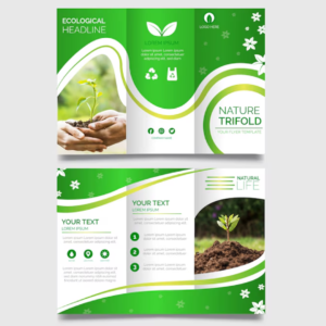 Brochures