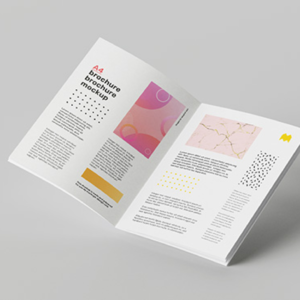 Bulk Brochures